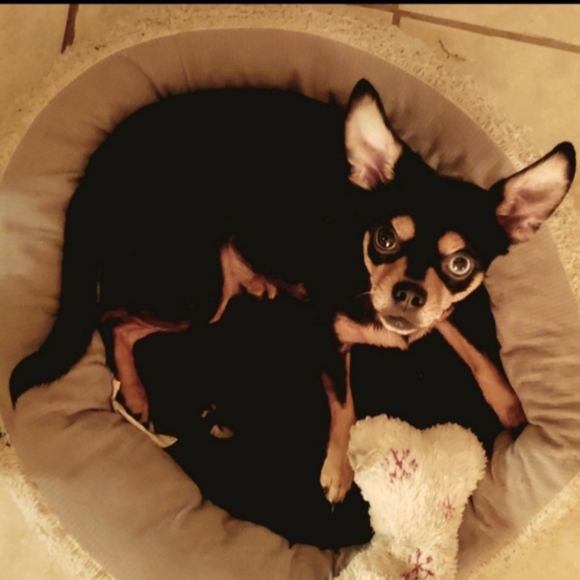 Let's Go 2025🥳 - Picture 4 of 7